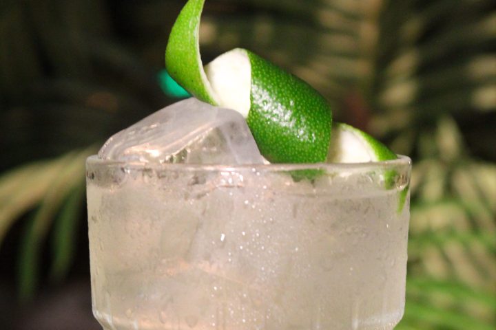 Glass of iced drink with lime garnish and greenery background.